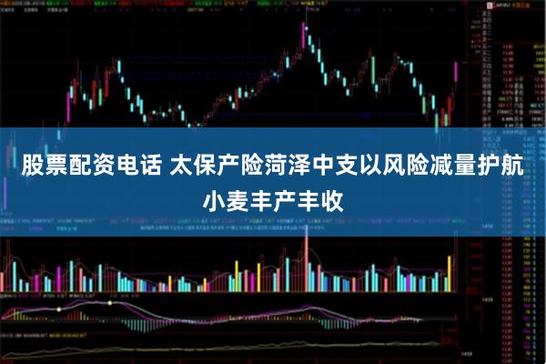股票配资电话 太保产险菏泽中支以风险减量护航小麦丰产丰收